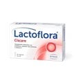 Lactoflora Ciscare 30 Capsules